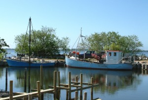 Tissø havn. Foto: Kurt Johansen